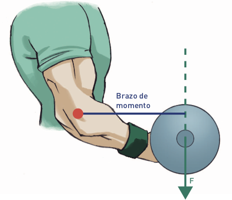 master biomecánica master biomecanica