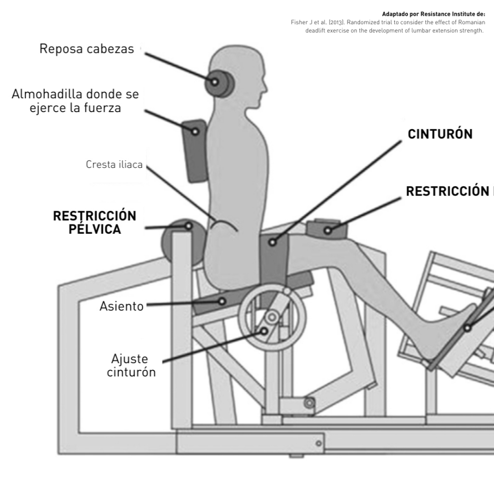 Cómo reforzar la zona lumbar de forma efectiva y segura