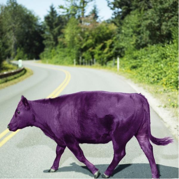 Cómo ser una vaca púrpura a nivel profesional