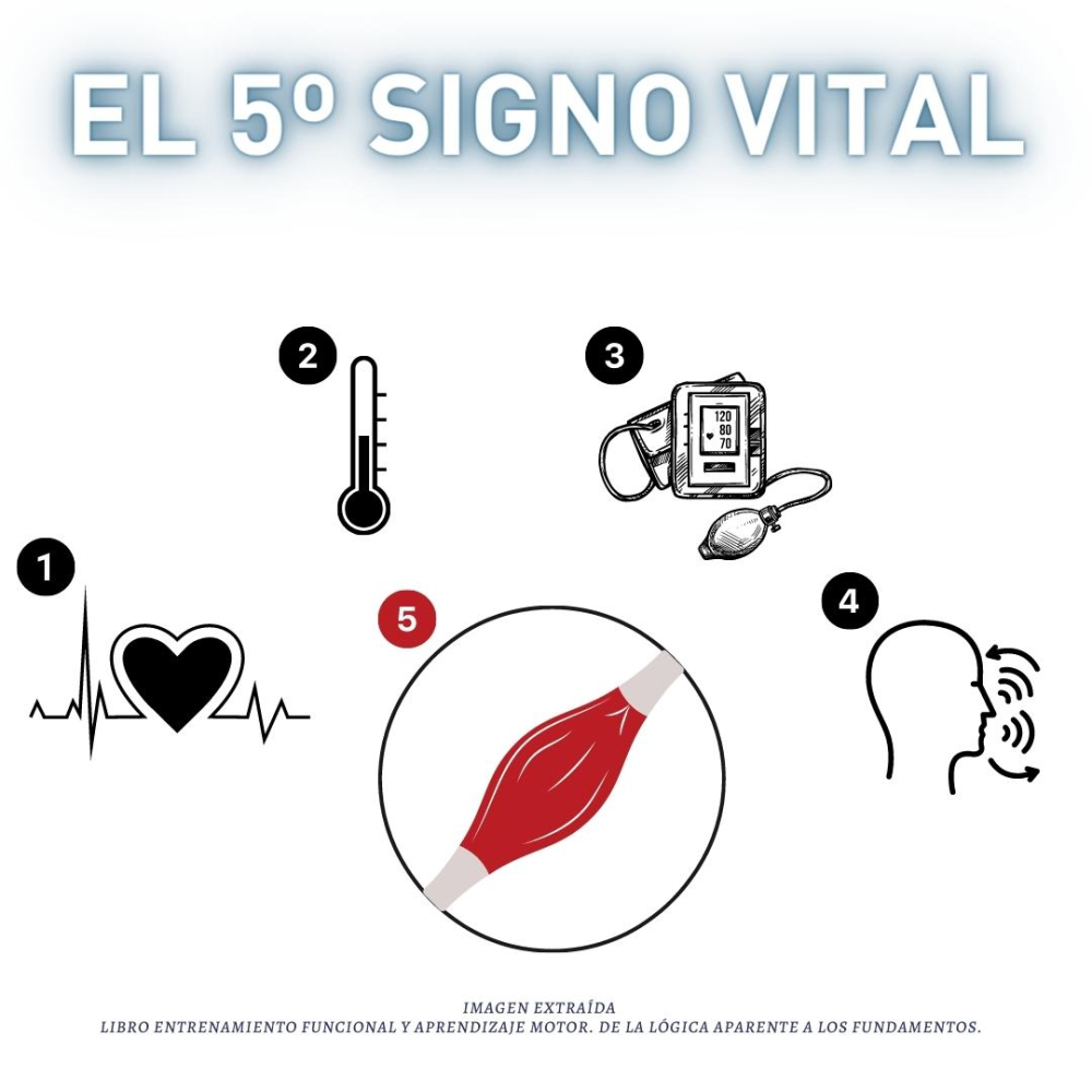 El músculo como 5º signo vital