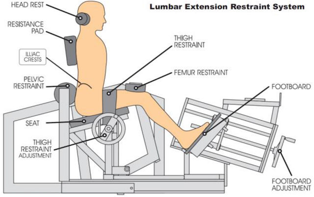 medical lumbar extension biomecanica