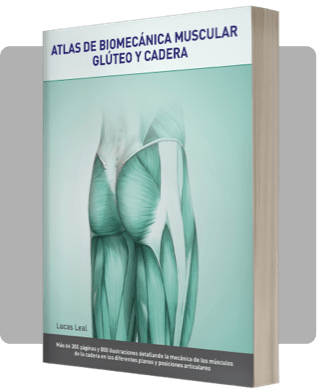 Libro Atlas de biomecánica muscular glúteo y cadera